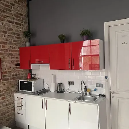 Renovated Historical Apartment